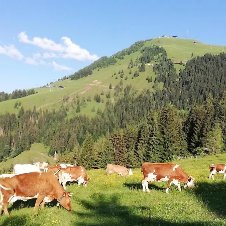 Bauernhof Bichlhof Διαμέρισμα Söll