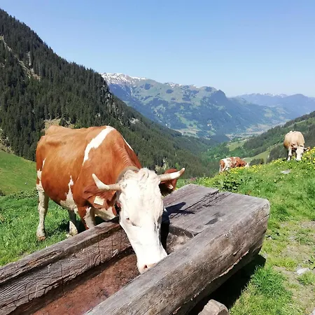 شقة Bauernhof Bichlhof