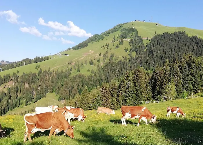Bauernhof Bichlhof شقة سول