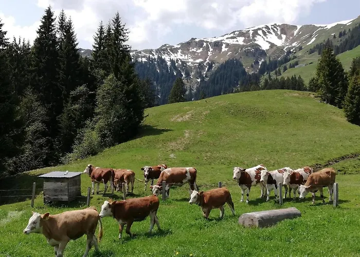 Appartamento Bauernhof Bichlhof Söll